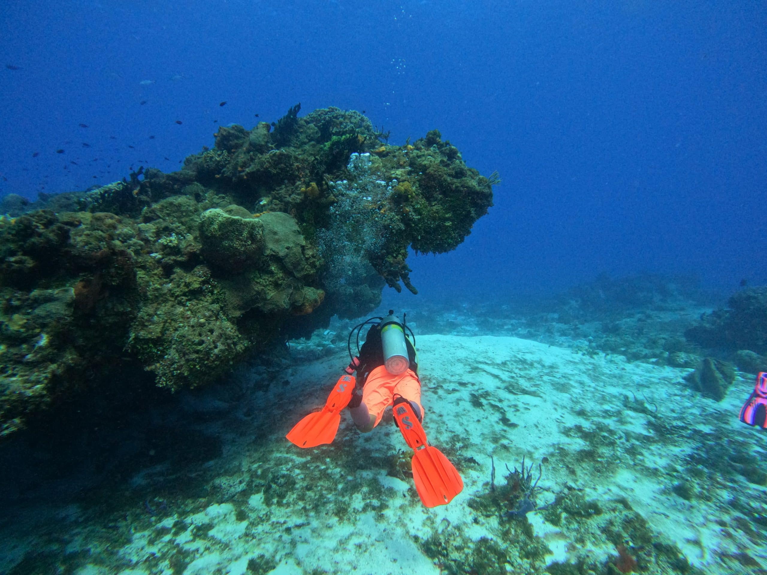Scuba-Diving-Cozumel Scuba diver under a coral formation in Cozumel.