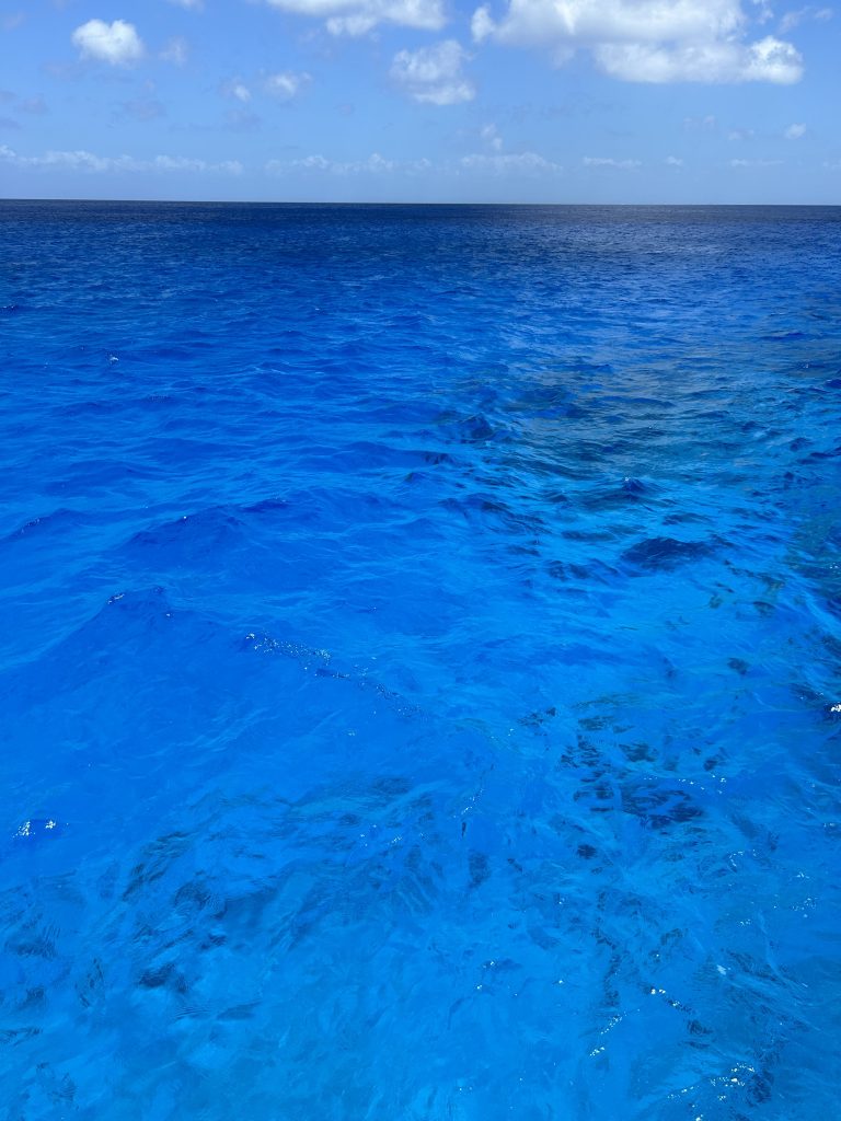 Scuba-Diving-Cozumel An image showing the excellent scuba diving visibility in Cozumel.