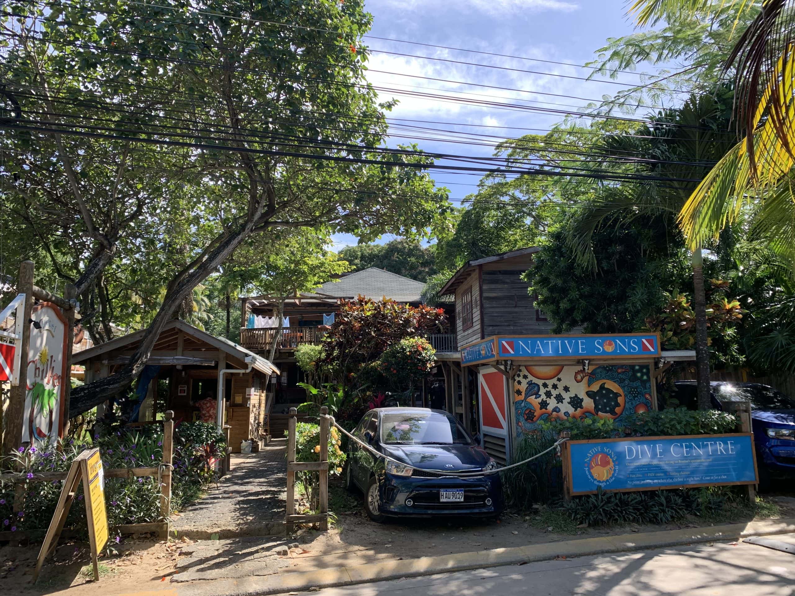 Native Sons Dive Resort in Roatan, Honduras