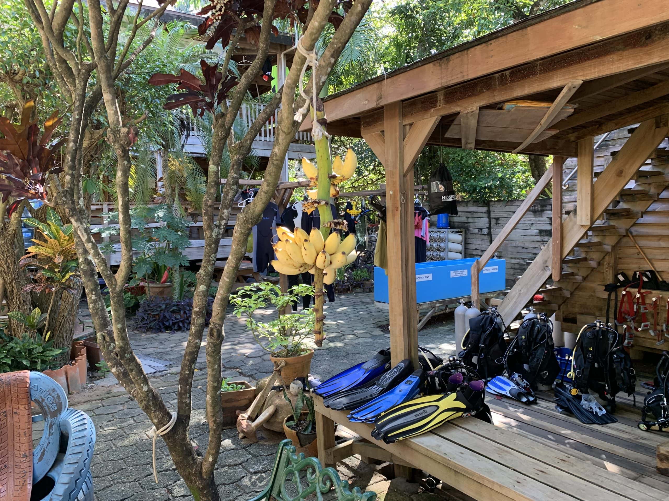Native Sons Dive Resort in Roatan, Honduras