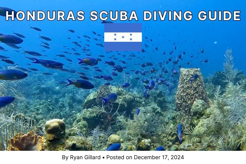 Scuba Diving Honduras: Dive Spots, Guide + More 2025