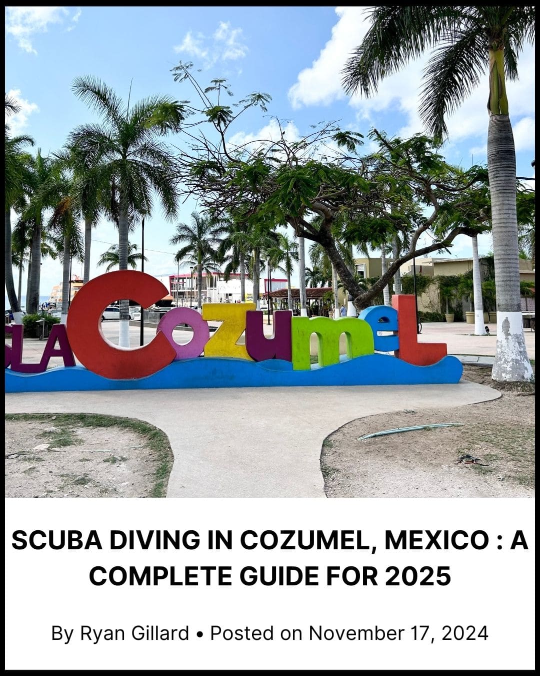 Scuba Diving in Cozumel, Mexico : A Complete Guide For 2025