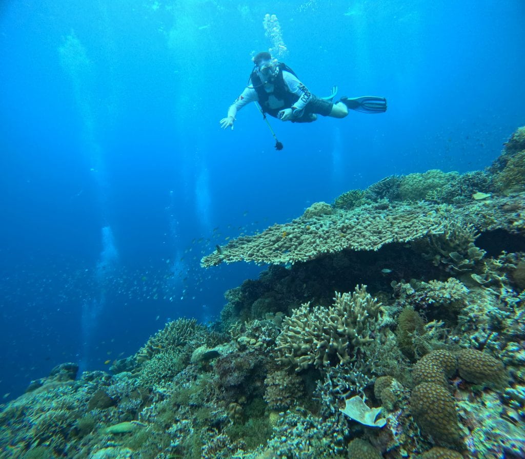 Scuba diving at Bohol, Philippines.