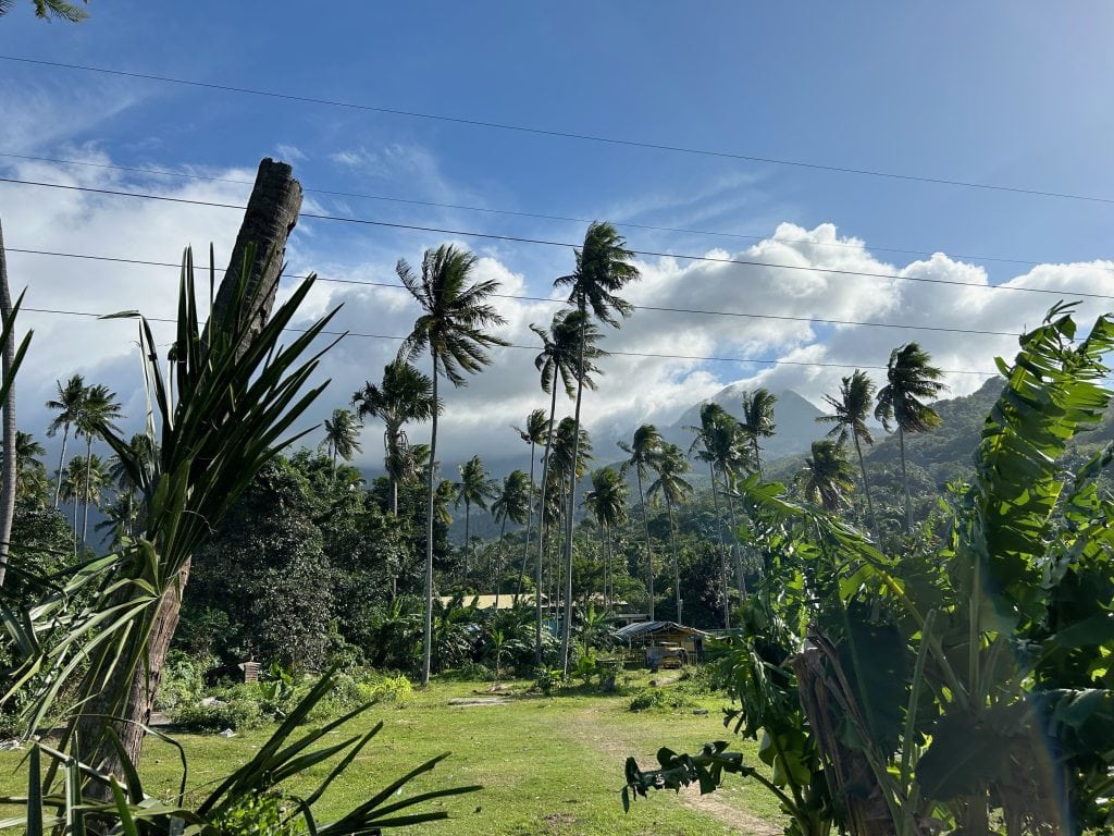 View of palm trees and mountains in Mindoro, Philippines.