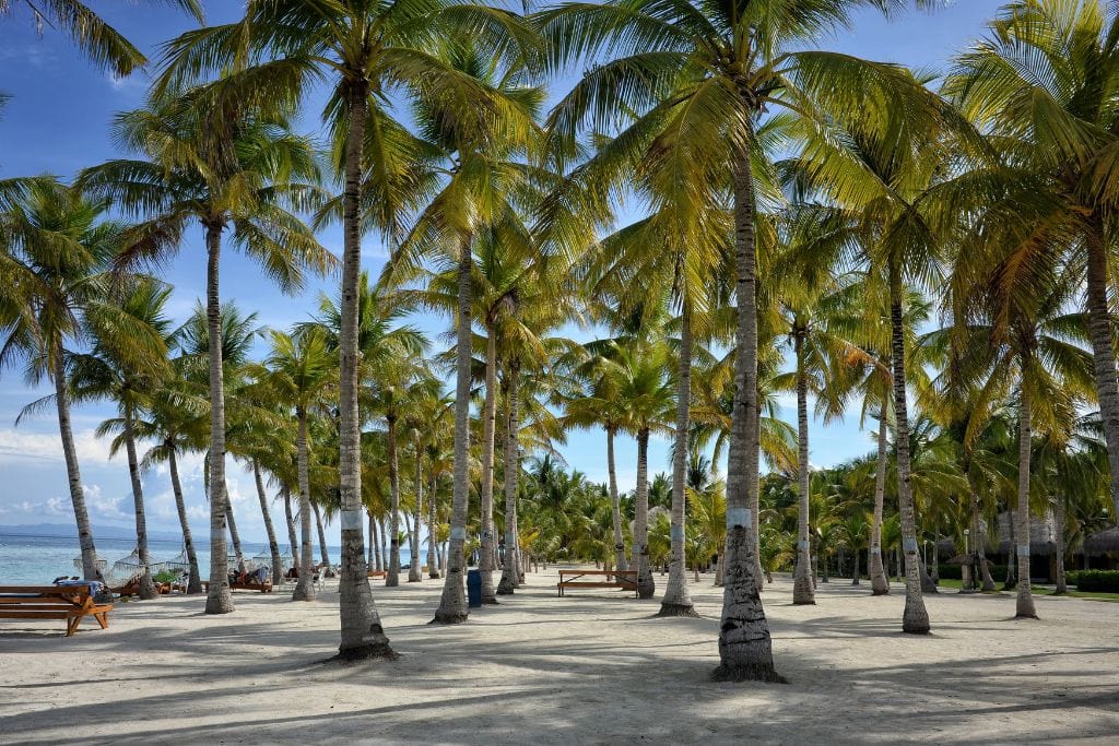 Scenic view of Bohol, a must-visit destination in the Philippines.