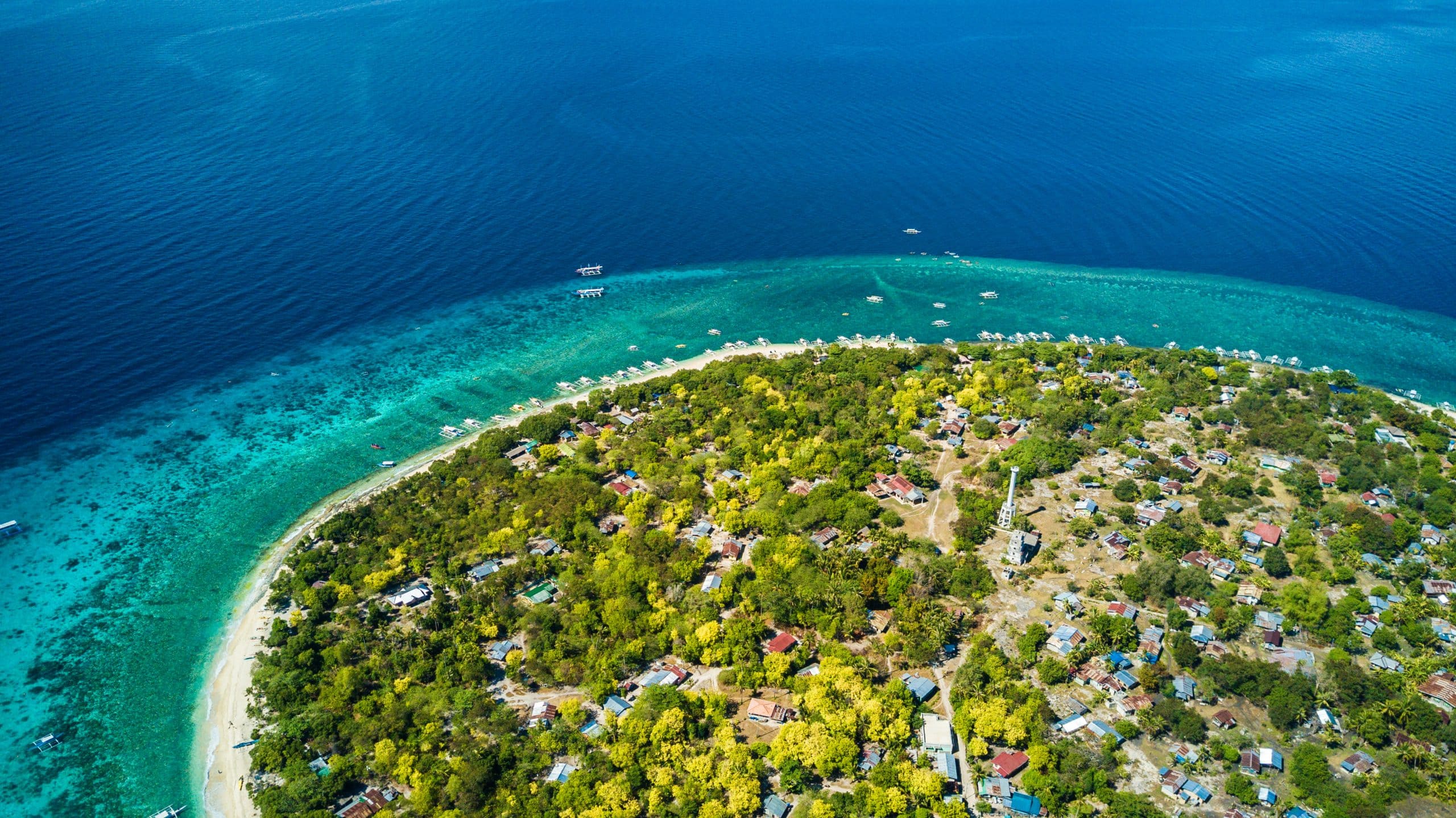 how to get from cebu to bohol guide