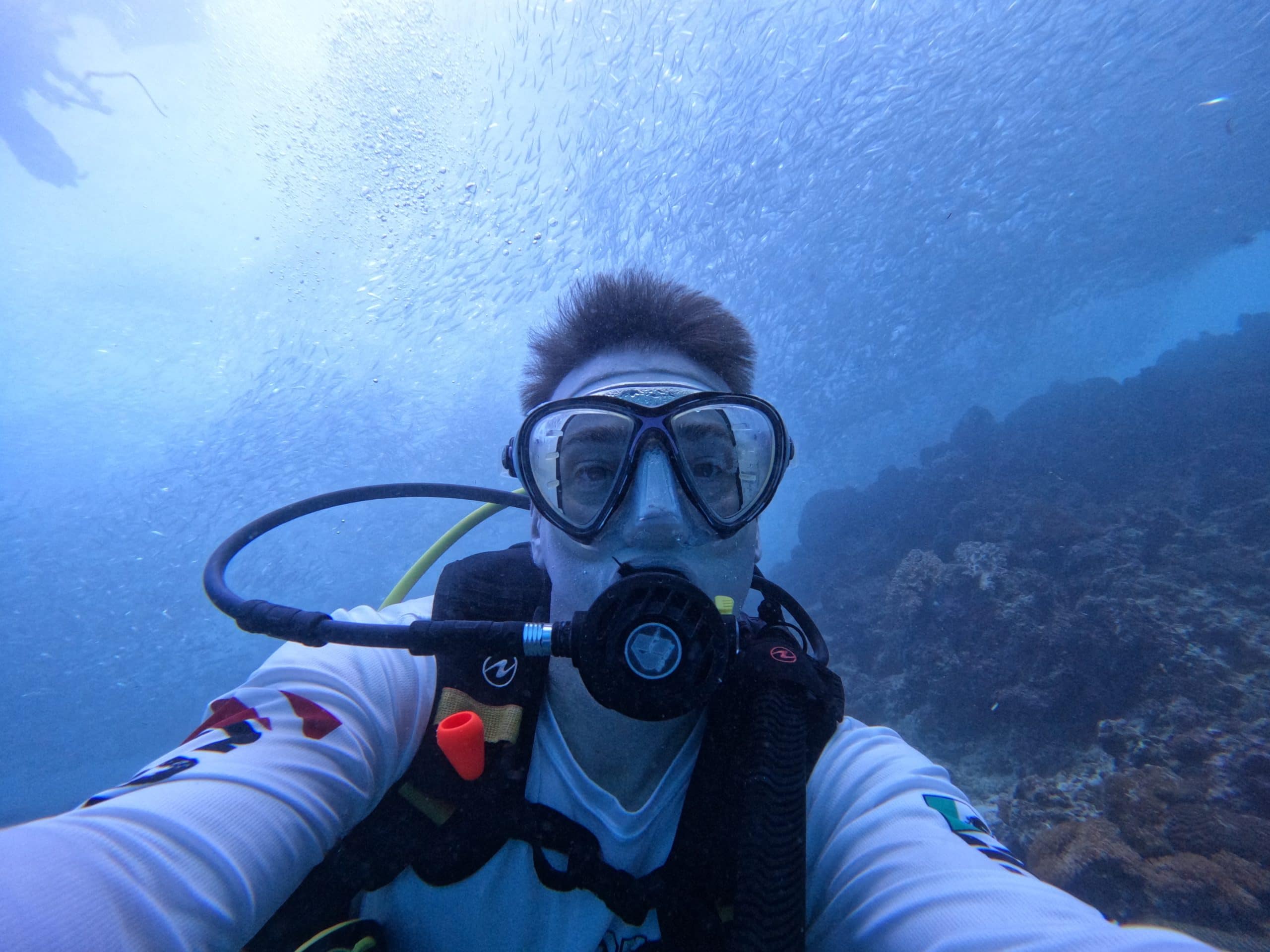 Massive sardine run off the coast of Moalboal, Cebu with Ryan Gillard from the Global Travel Blog  in frame.