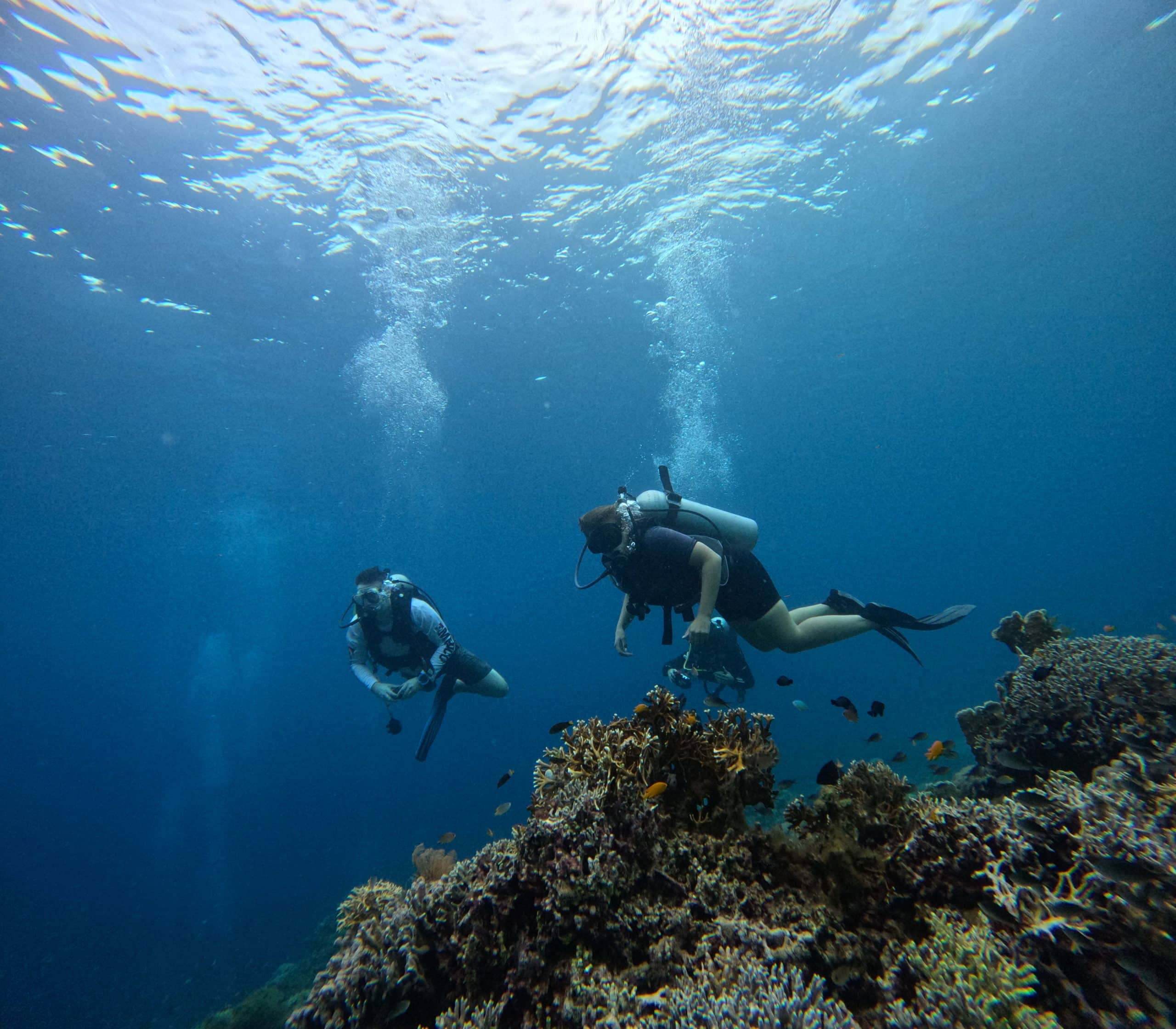 Scuba divers at Dojol Point in Bohol, Philippines.