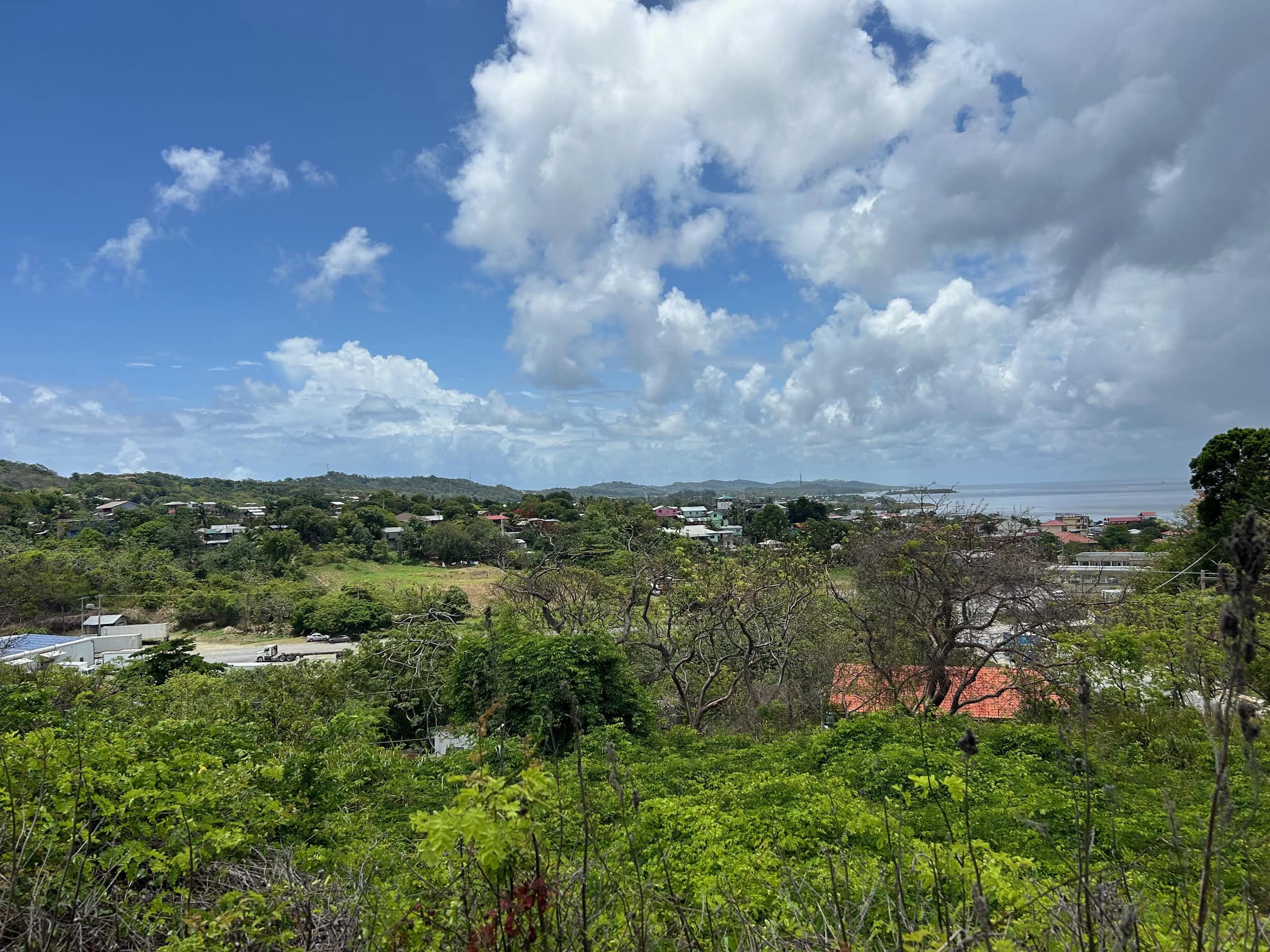 An image from a high point overlooking the island of Roatan with the ocean in the distance.