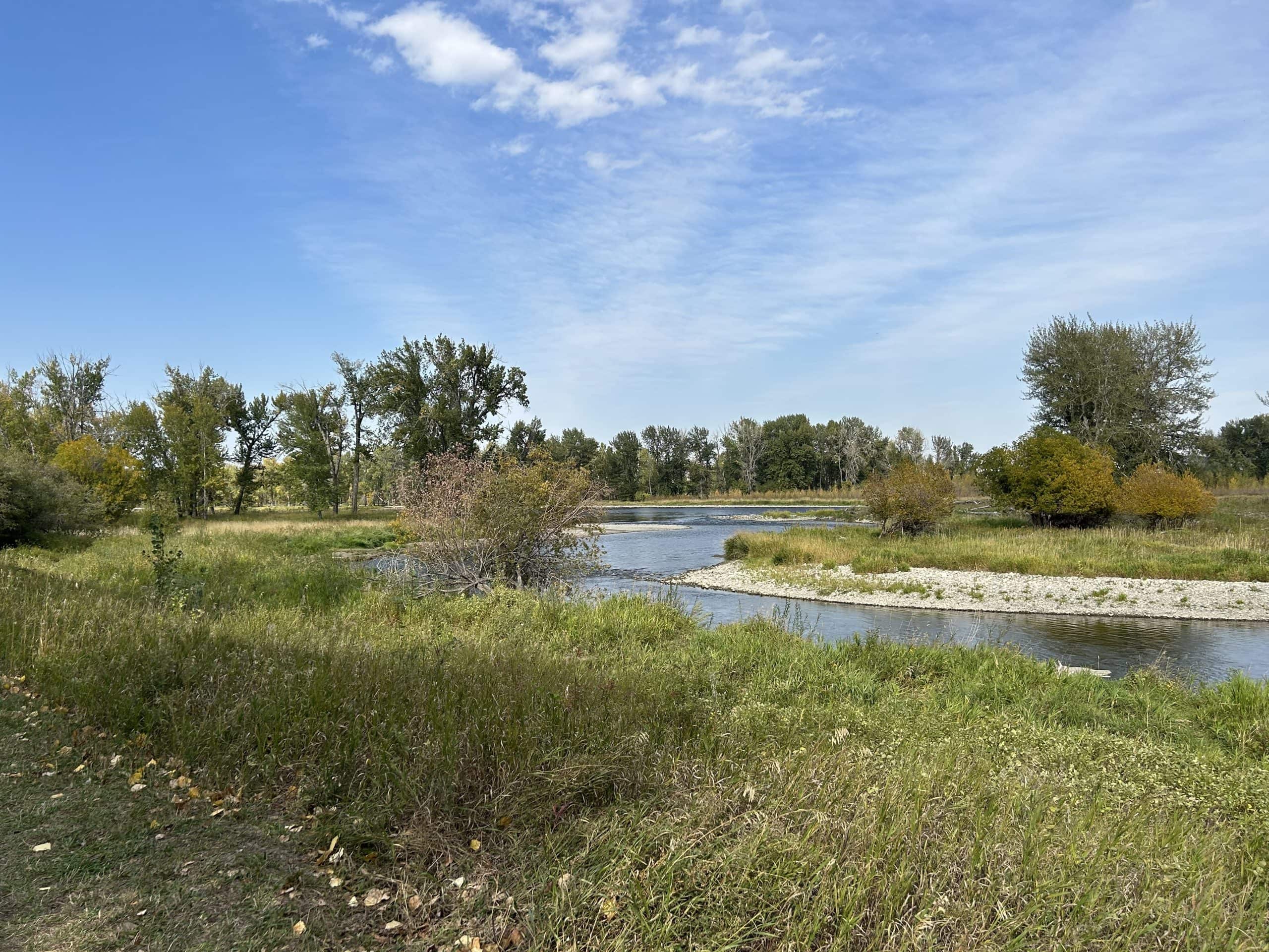 Wooded trails in Fish Creek Provincial Park, a massive urban park in Calgary ideal for outdoor adventures.