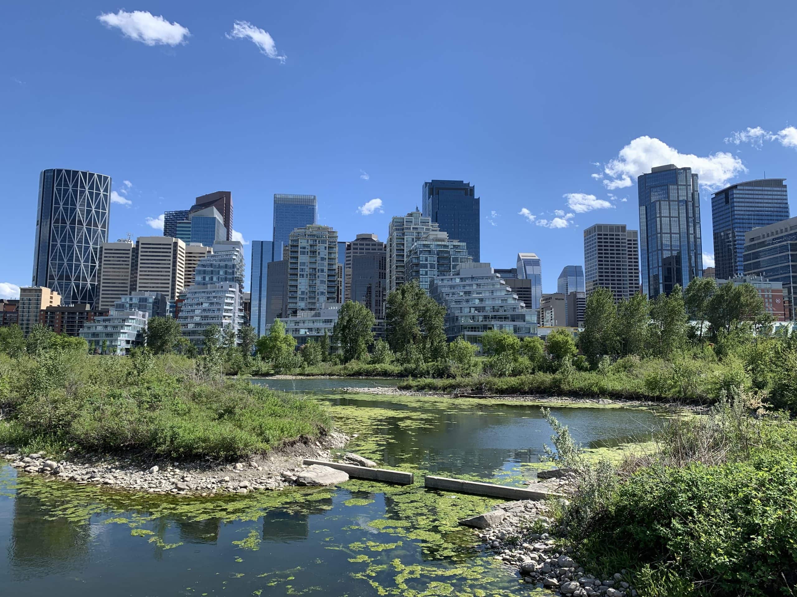 Peaceful green space at Prince’s Island Park, ideal for riverside walks and relaxing picnics.