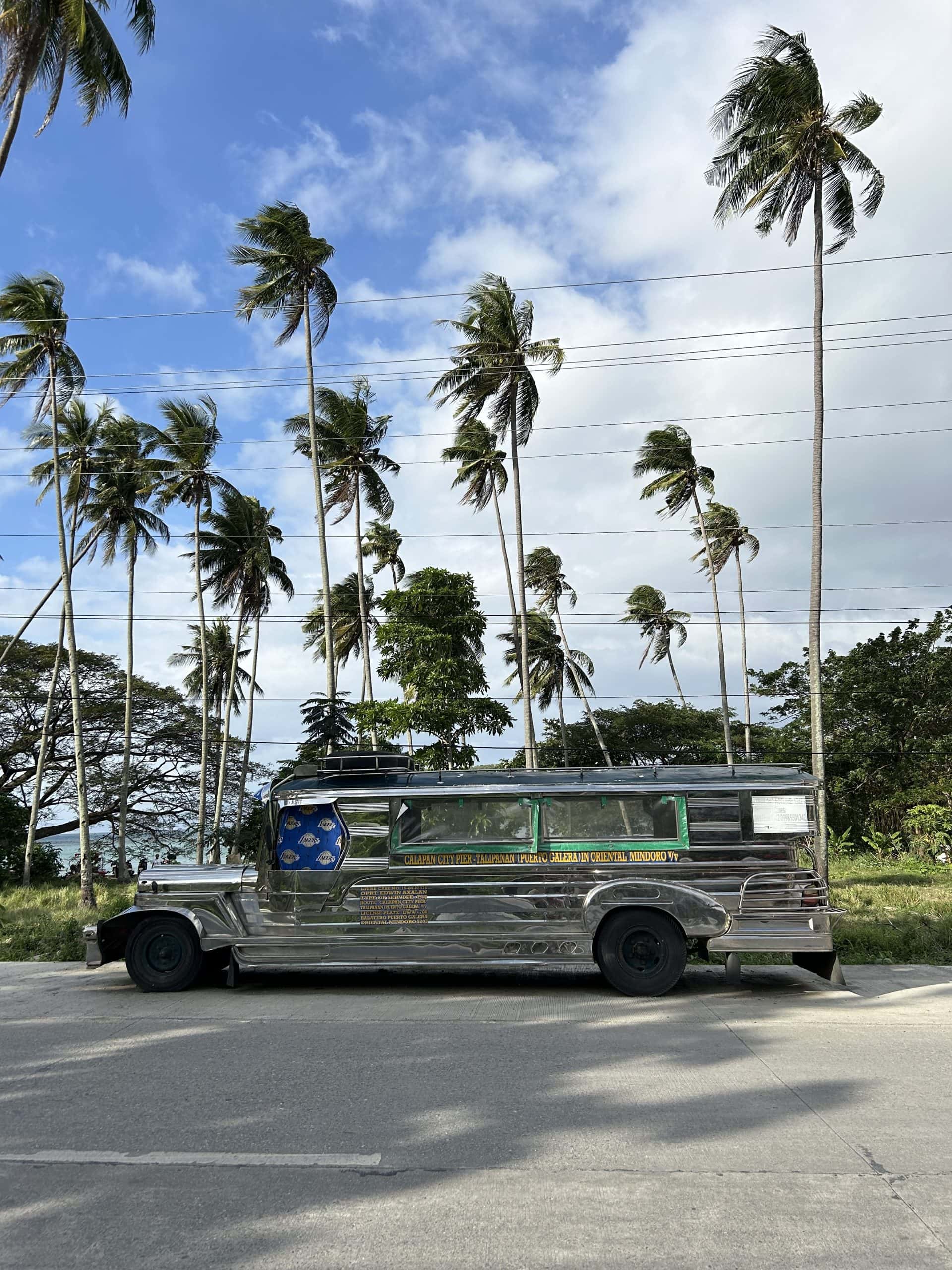 A Jeepney in front of palm trees with cloudy skies in the distance.