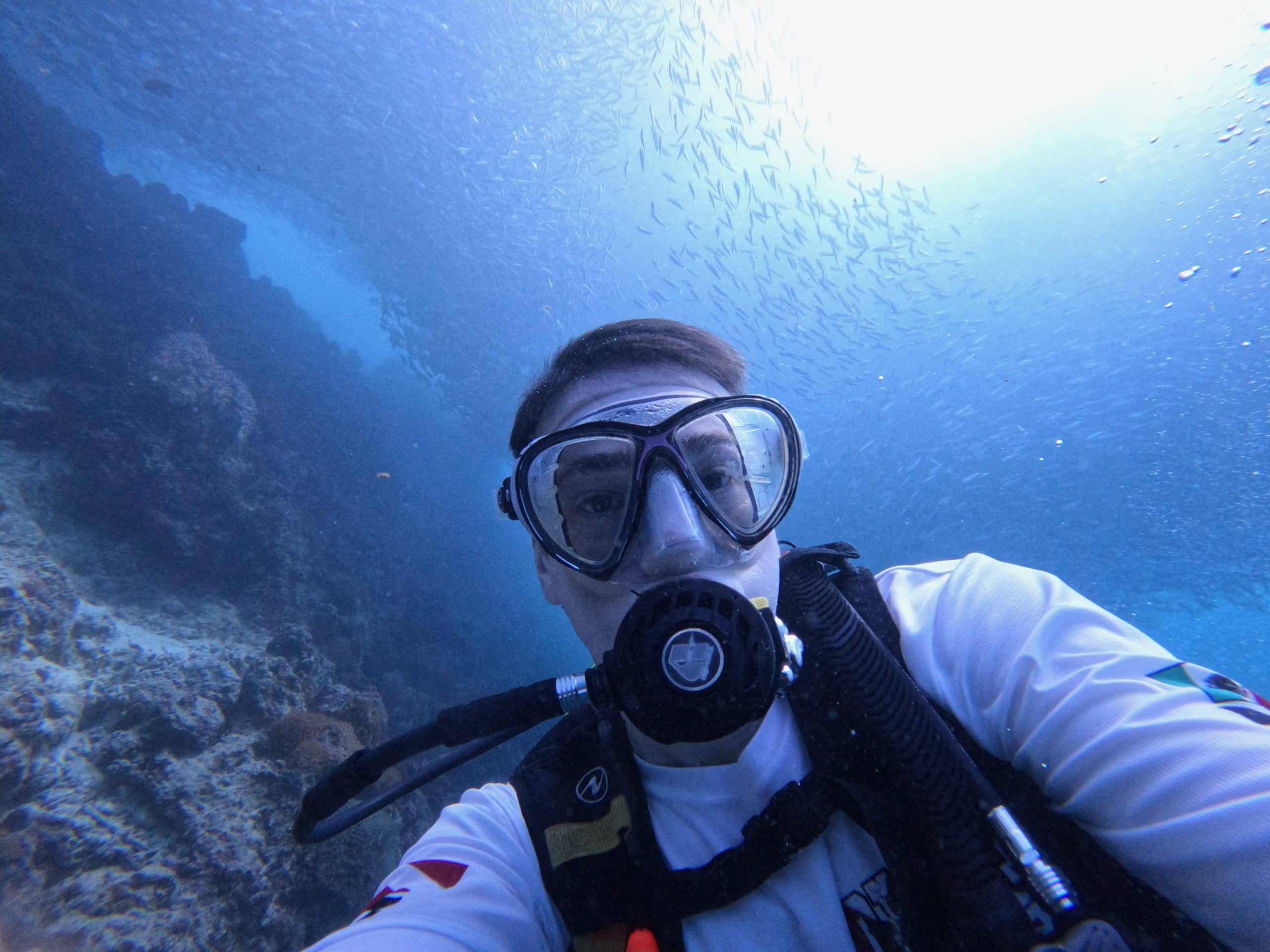 Shoal of sardines swimming together just offshore at Panagsama Beach in Moalboal, perfect for snorkelling or diving.