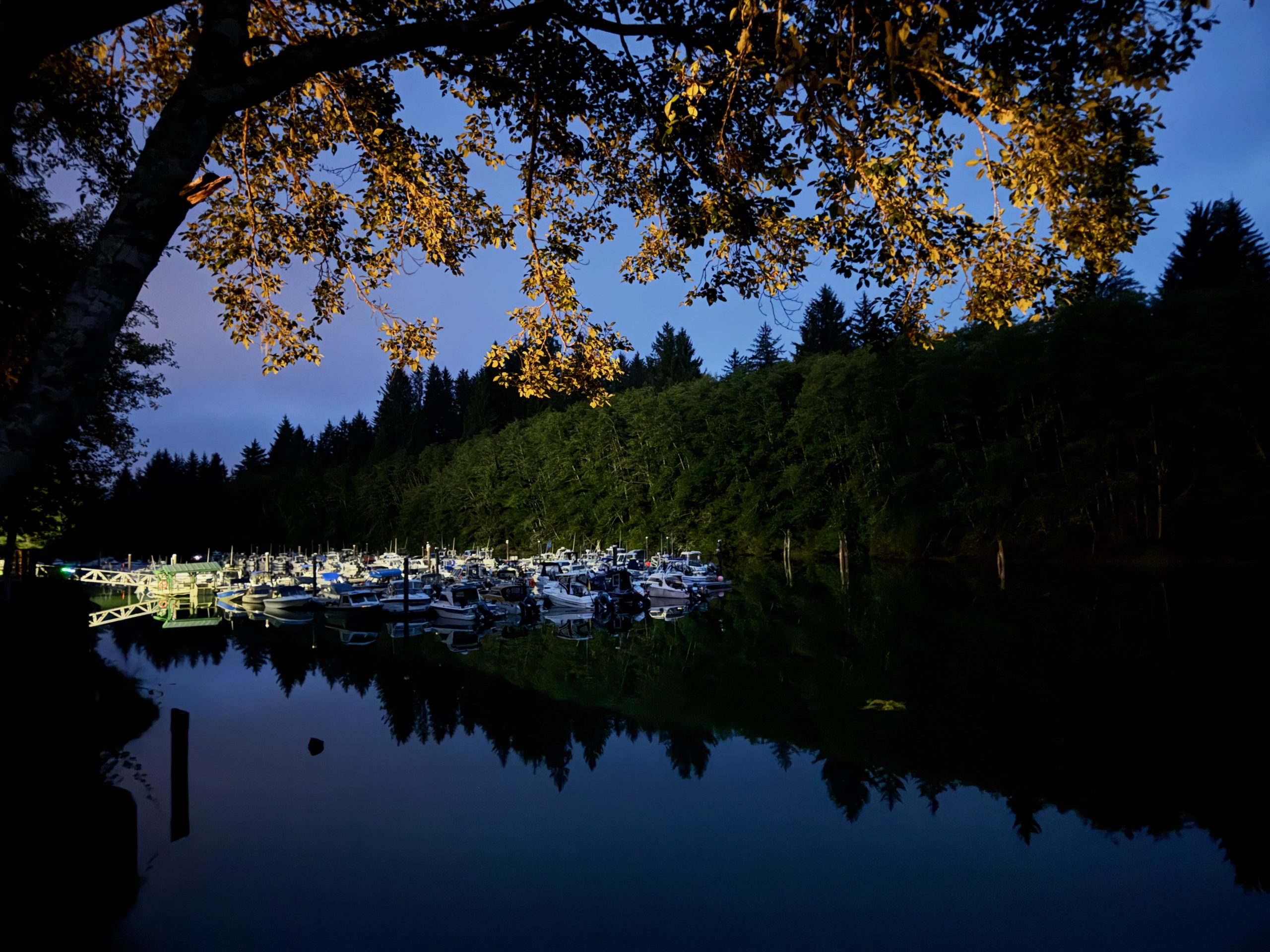 Serene twilight at Port Renfrew Marina & RV Park, with fishing boats reflecting on calm waters surrounded by lush forest.