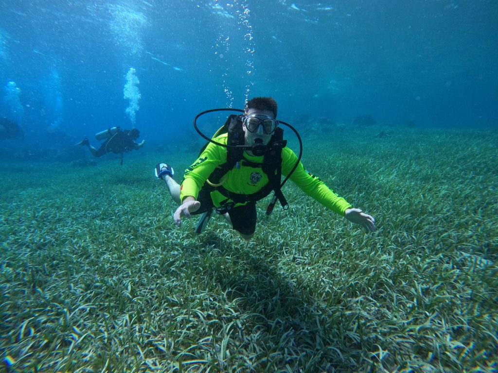 Scuba diver exploring vibrant underwater seagrass in crystal-clear blue waters, showcasing the beauty and adventure of diving beneath the ocean’s surface.