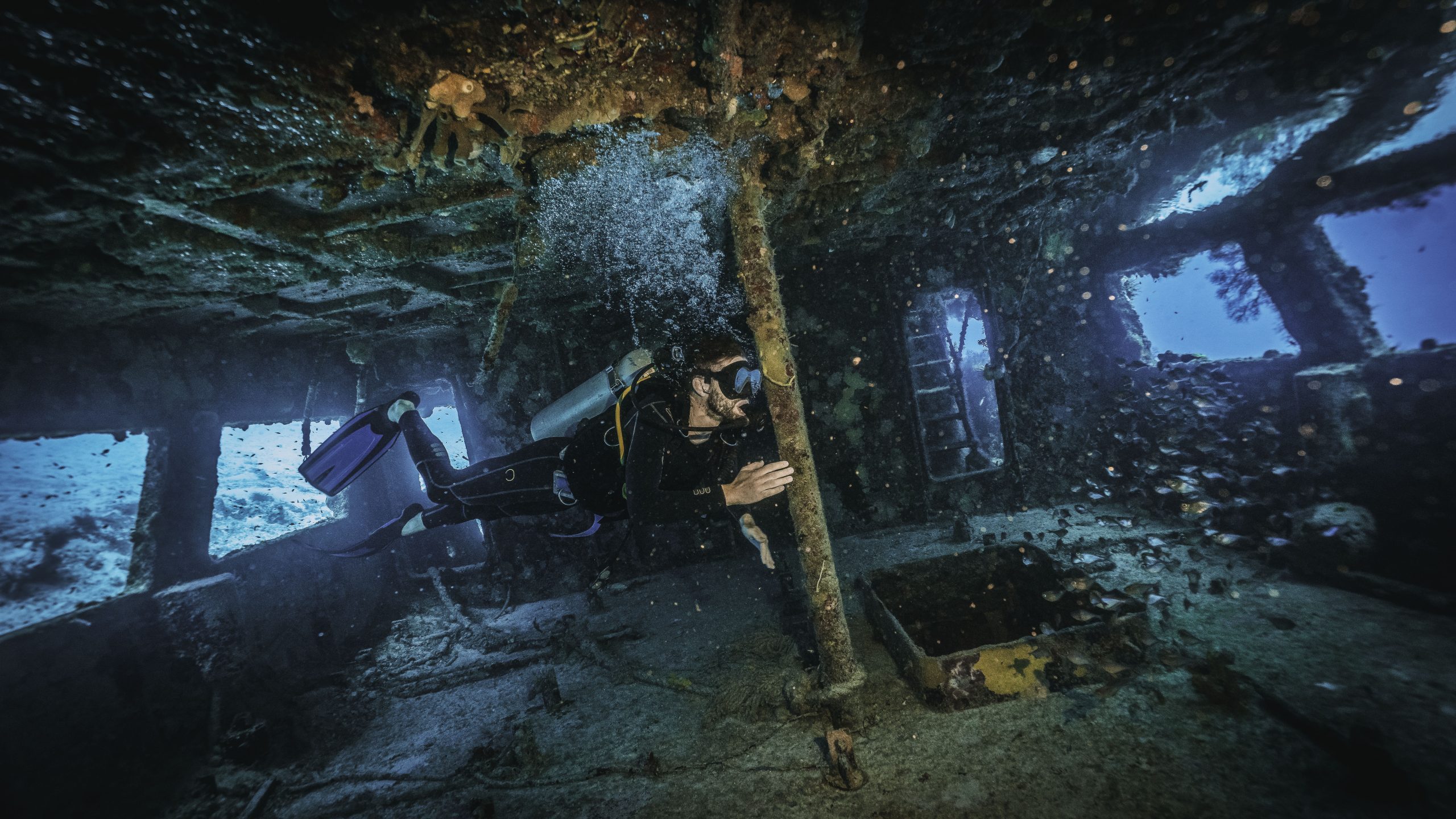 Scuba diver exploring the interior of a sunken shipwreck surrounded by schools of fish, showcasing the thrill and mystery of underwater adventures.