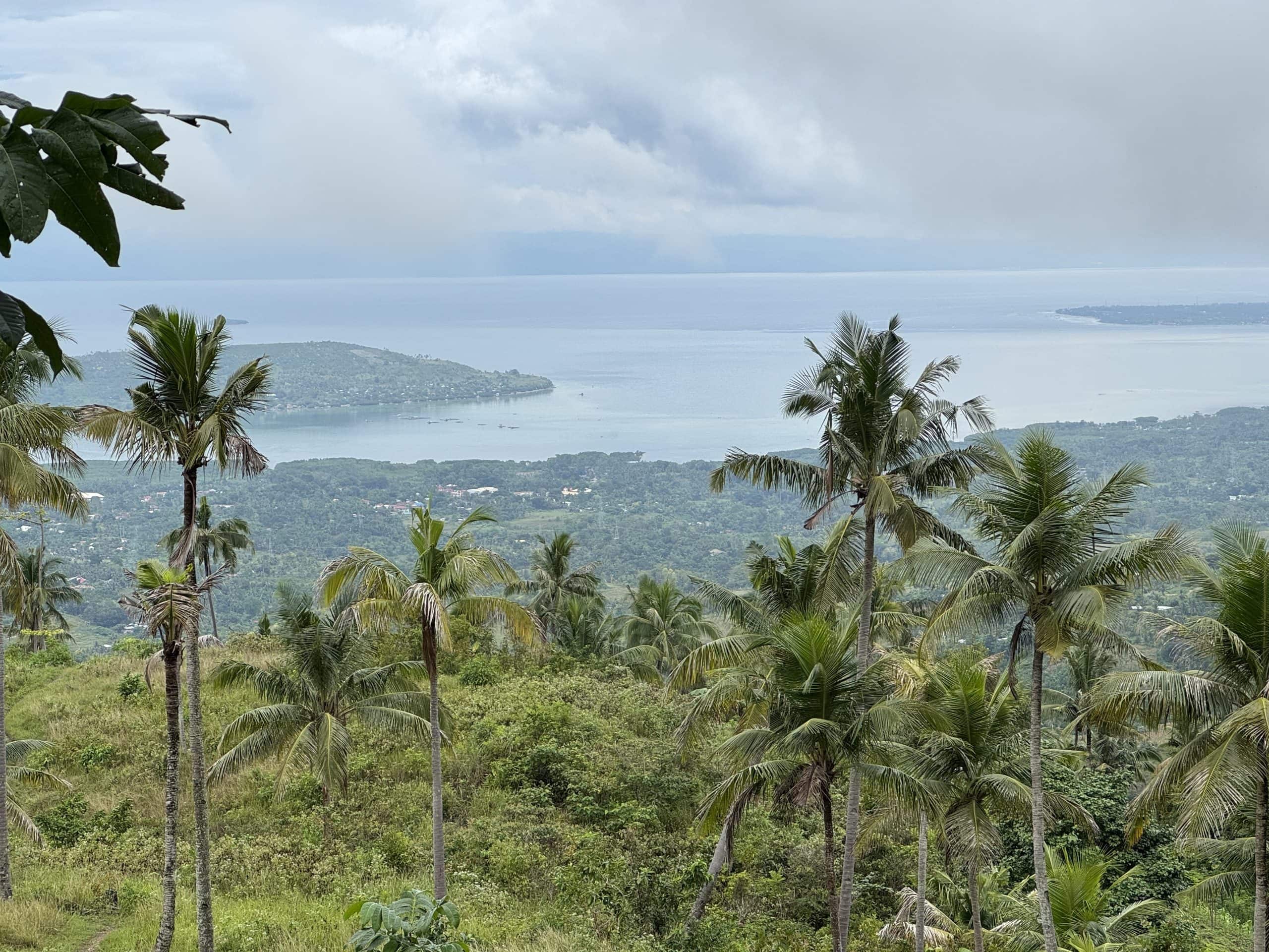 A scenic view overlooking Moalboal from the hills, with palm trees in the foreground and the turquoise coastline stretching out toward the Tañon Strait under a cloudy sky.
