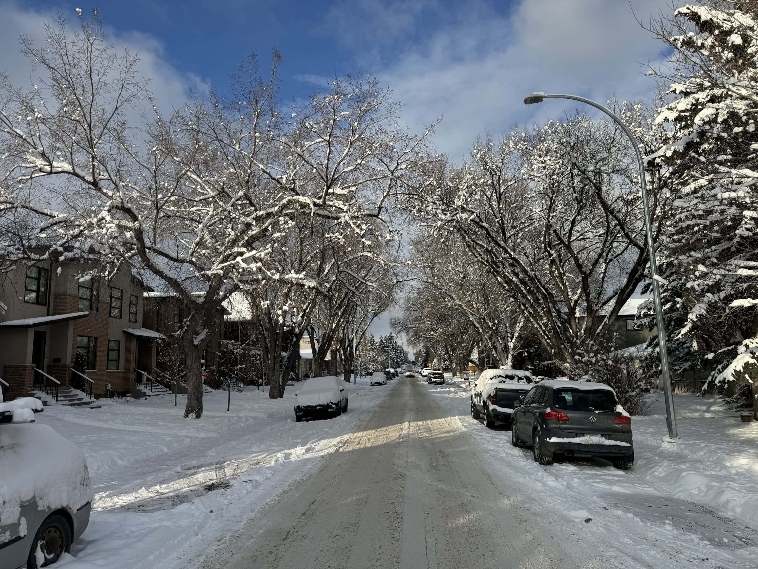 A calm residential street in Calgary blanketed in fresh snow, with tree-lined sidewalks and parked cars creating a cozy winter neighbourhood scene.