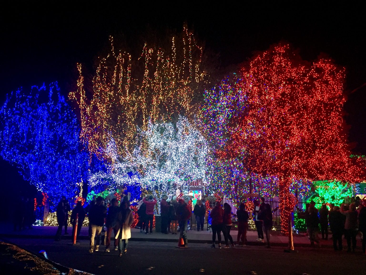 25 BEST THINGS TO DO IN CALGARY IN WINTER (BY A LOCAL)