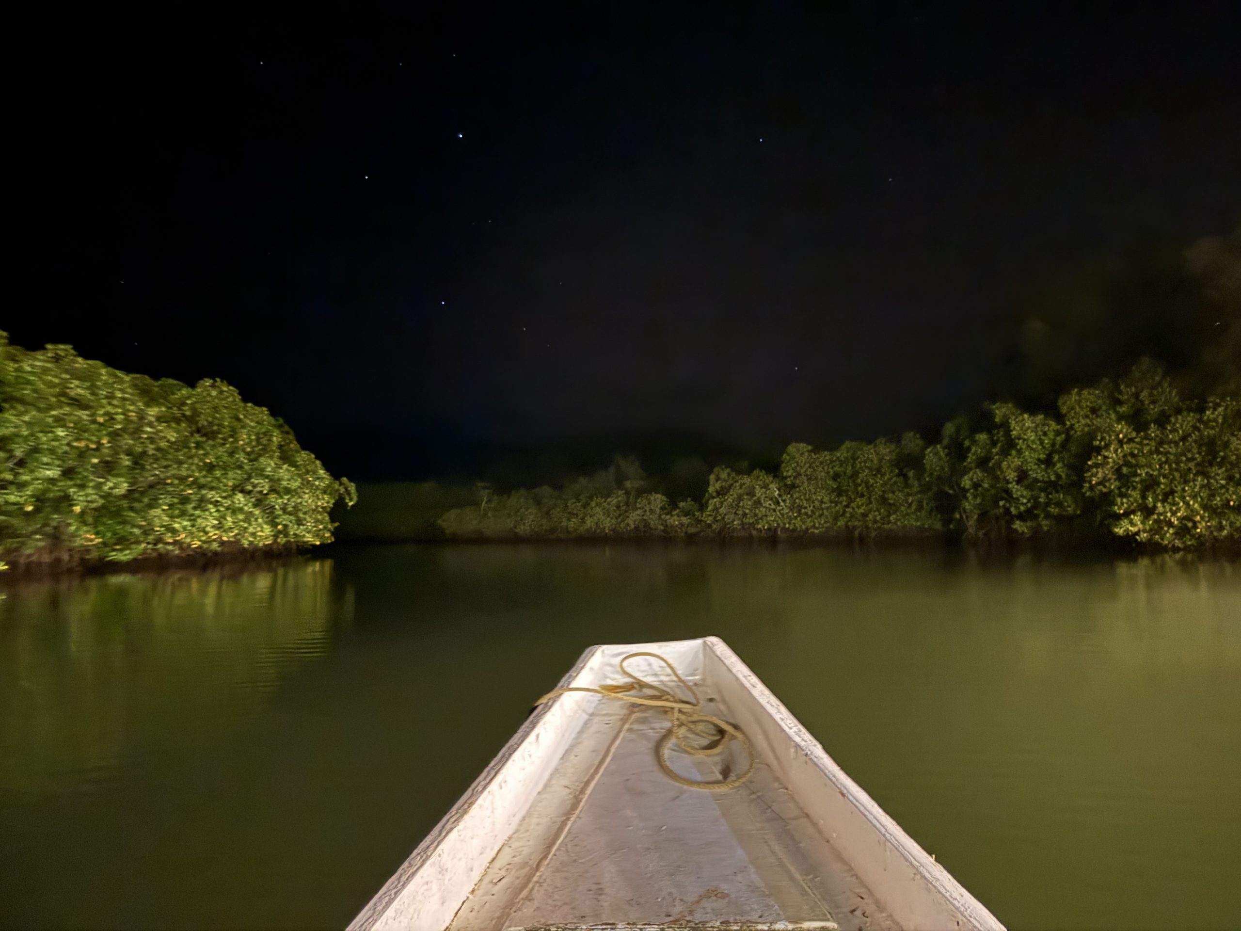 Boat gliding through calm mangrove waters at night under a starry sky during a firefly tour in Puerto Princesa, Palawan, Philippines