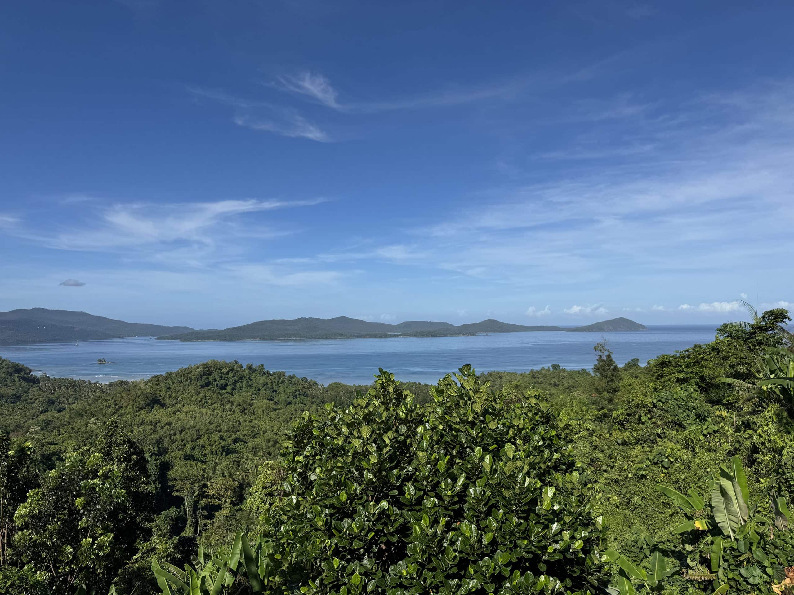 Panoramic viewpoint overlooking lush tropical forest and the blue coastline near Puerto Princesa with distant islands and clear skies in Palawan, Philippines