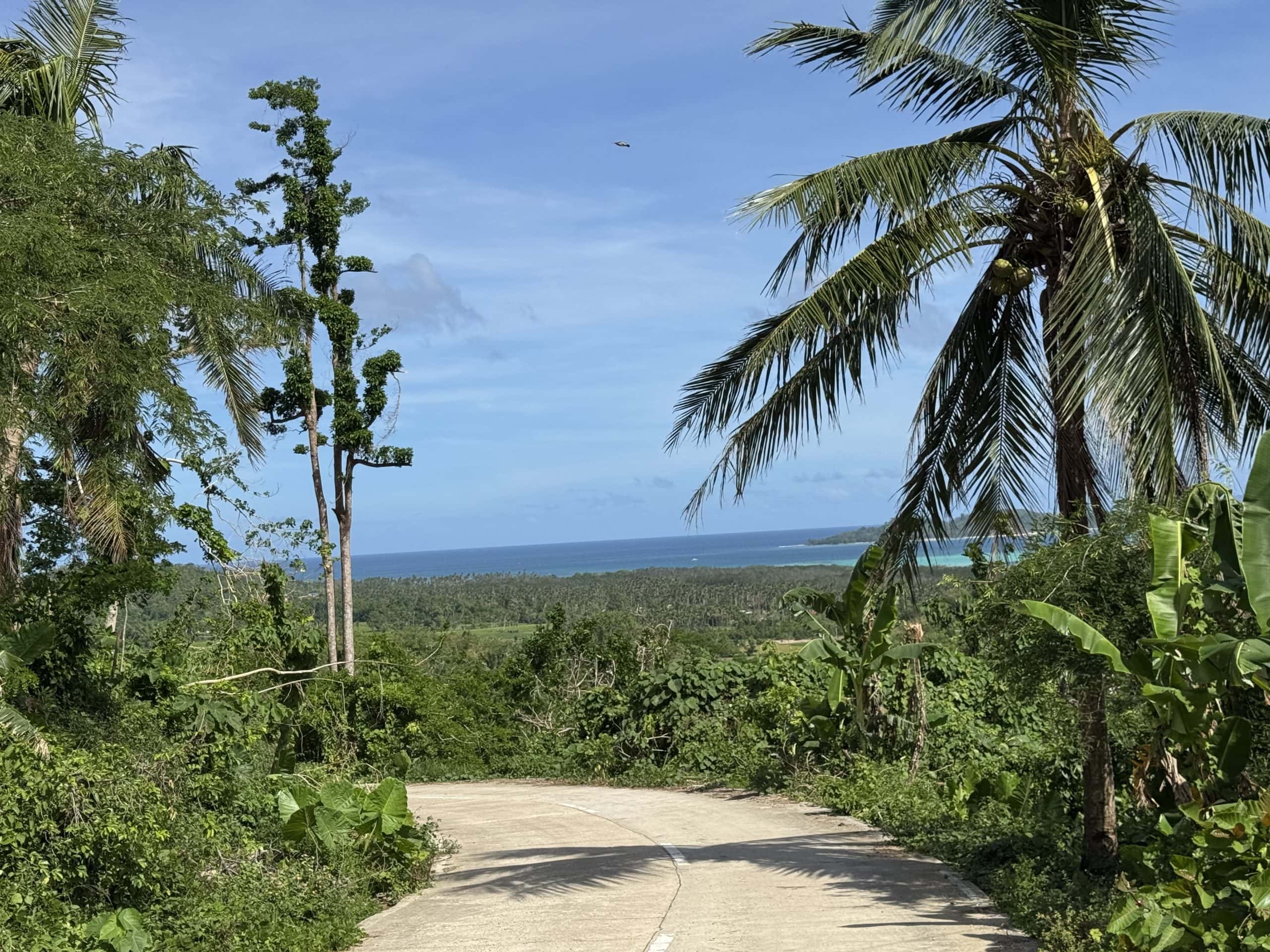 Scenic coastal road in Palawan surrounded by lush tropical jungle and palm trees, opening to sweeping ocean views with turquoise water and forested hills stretching toward the horizon.