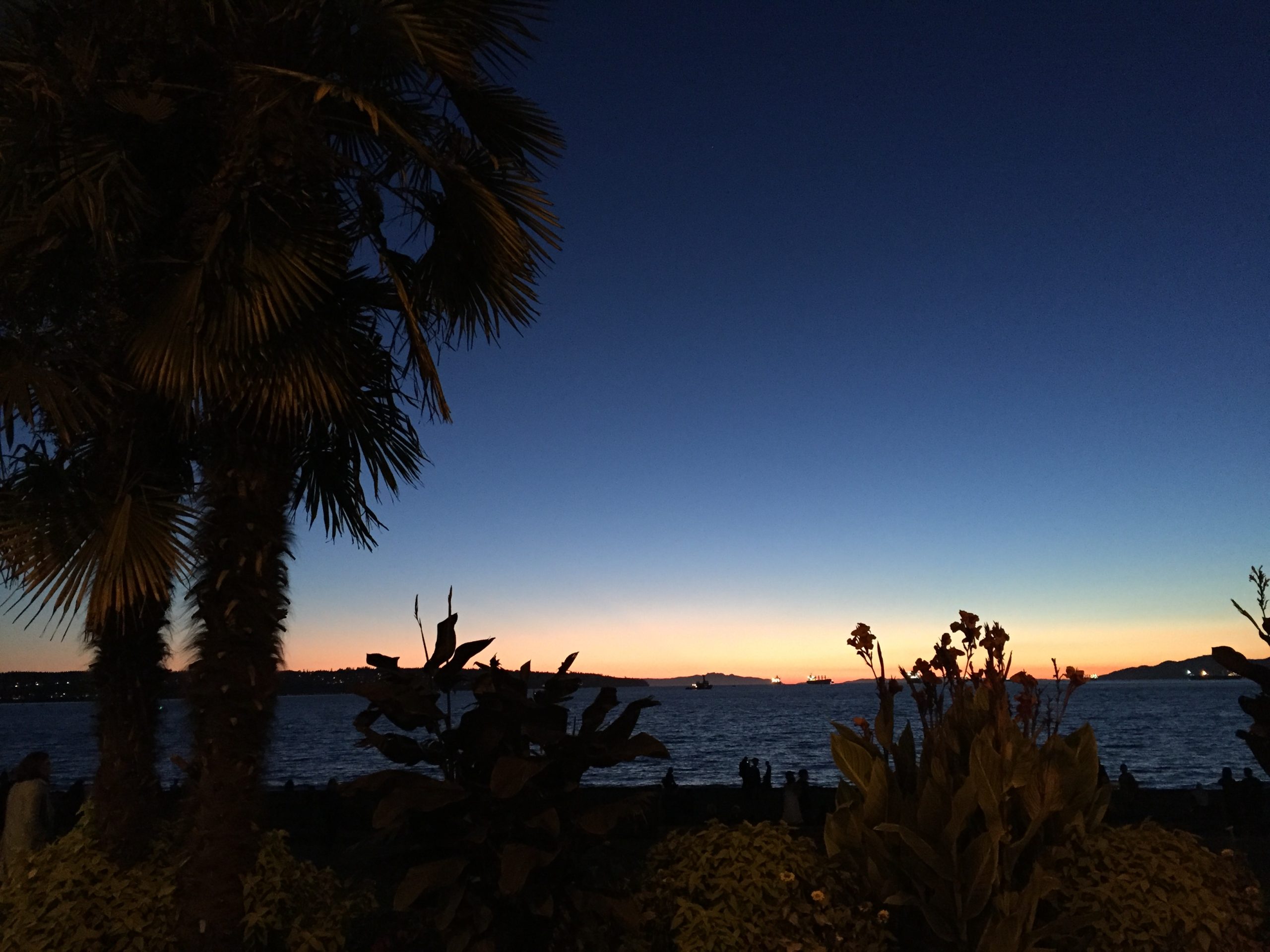 Sunset over English Bay in Vancouver with palm trees, ocean views, and cargo ships on the horizon silhouetted against a colorful evening sky