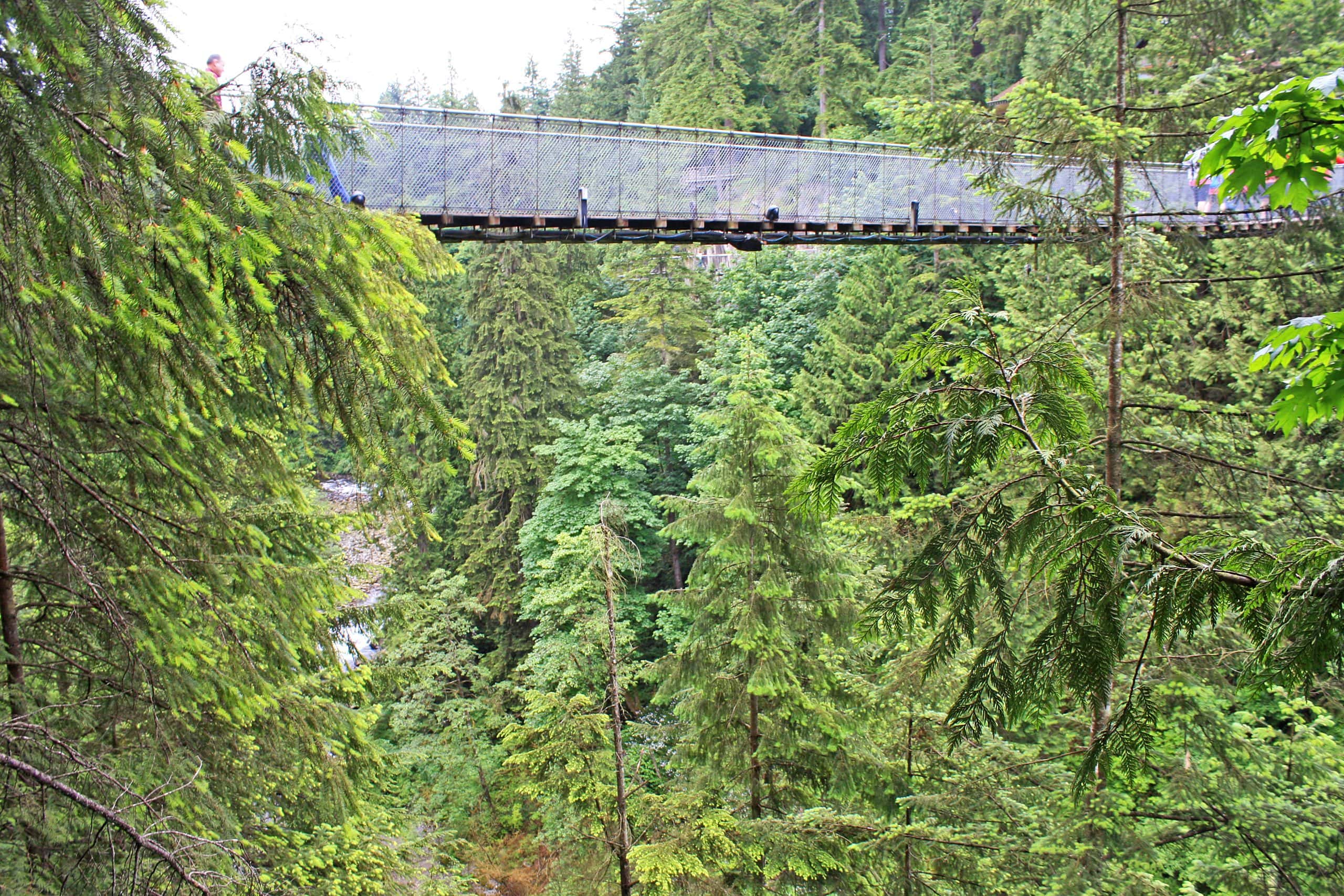 Capilano Suspension Bridge spanning a deep forest canyon in North Vancouver surrounded by lush Pacific Northwest rainforest and towering evergreen trees