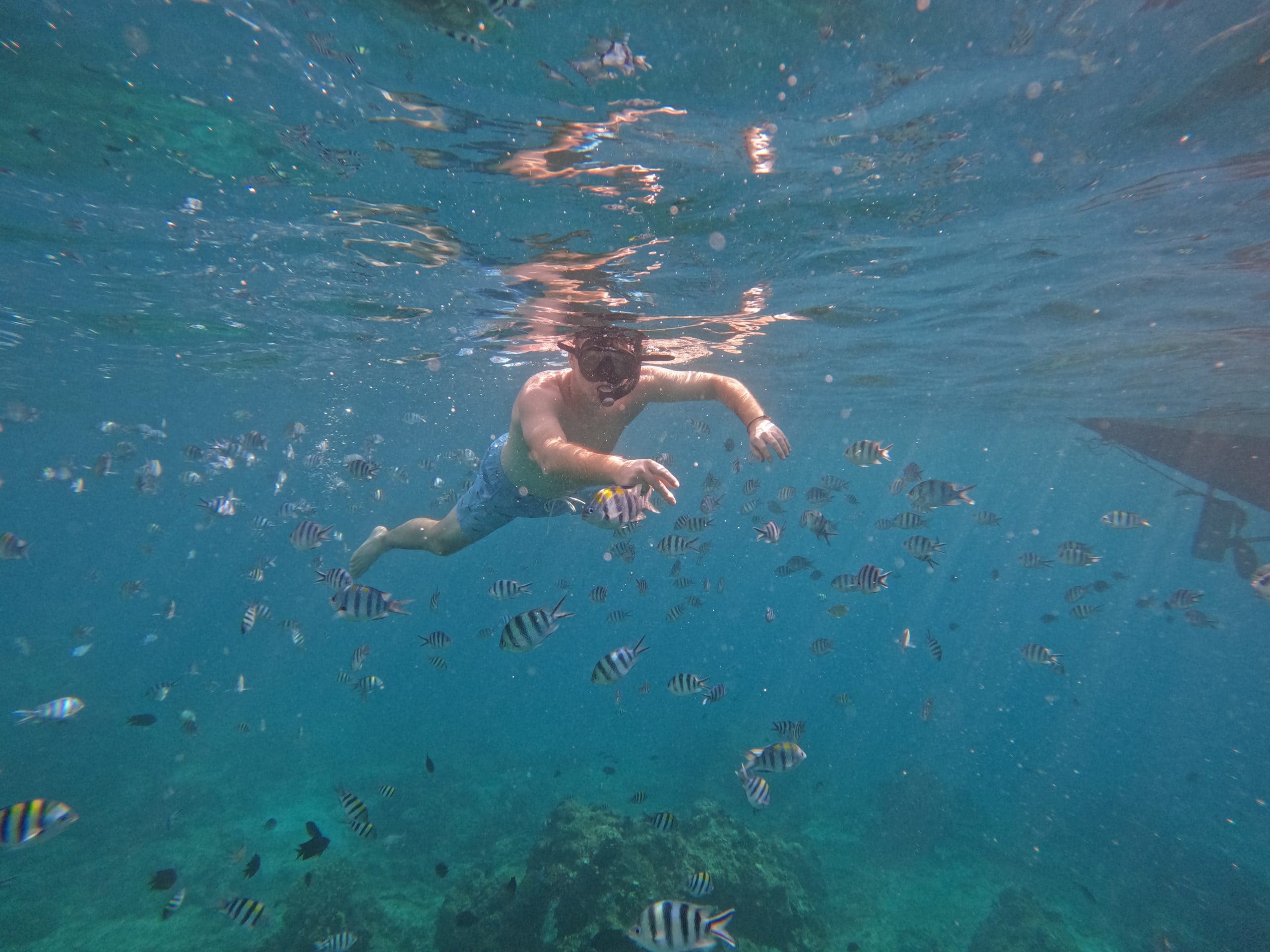 Snorkeling in El Nido with tropical fish in clear blue water during an island hopping tour in Palawan Philippines