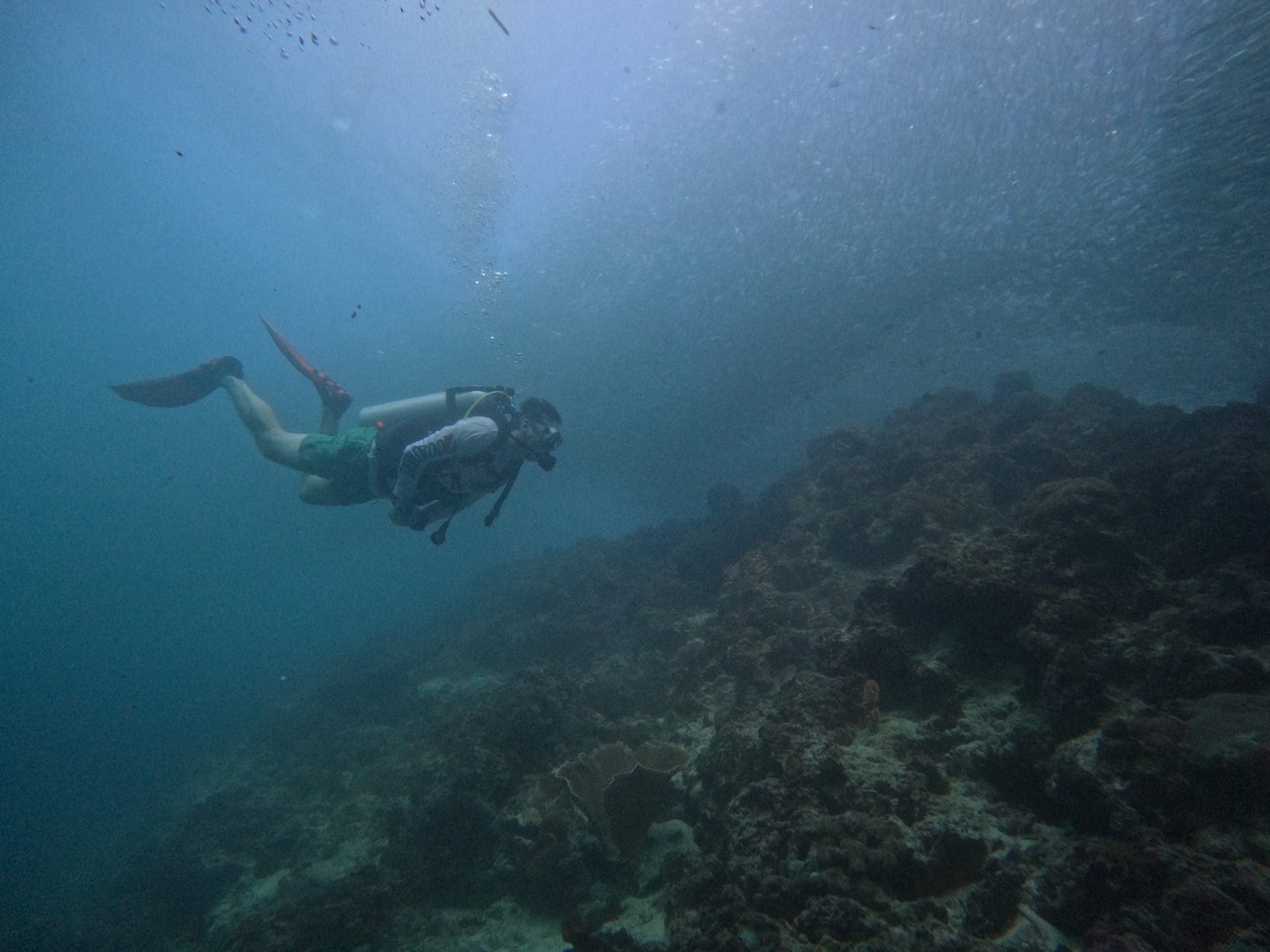 Diver surrounded by the massive Moalboal sardine run in Cebu, Philippines, where enormous swirling schools of sardines create one of the country’s most unforgettable scuba diving experiences.