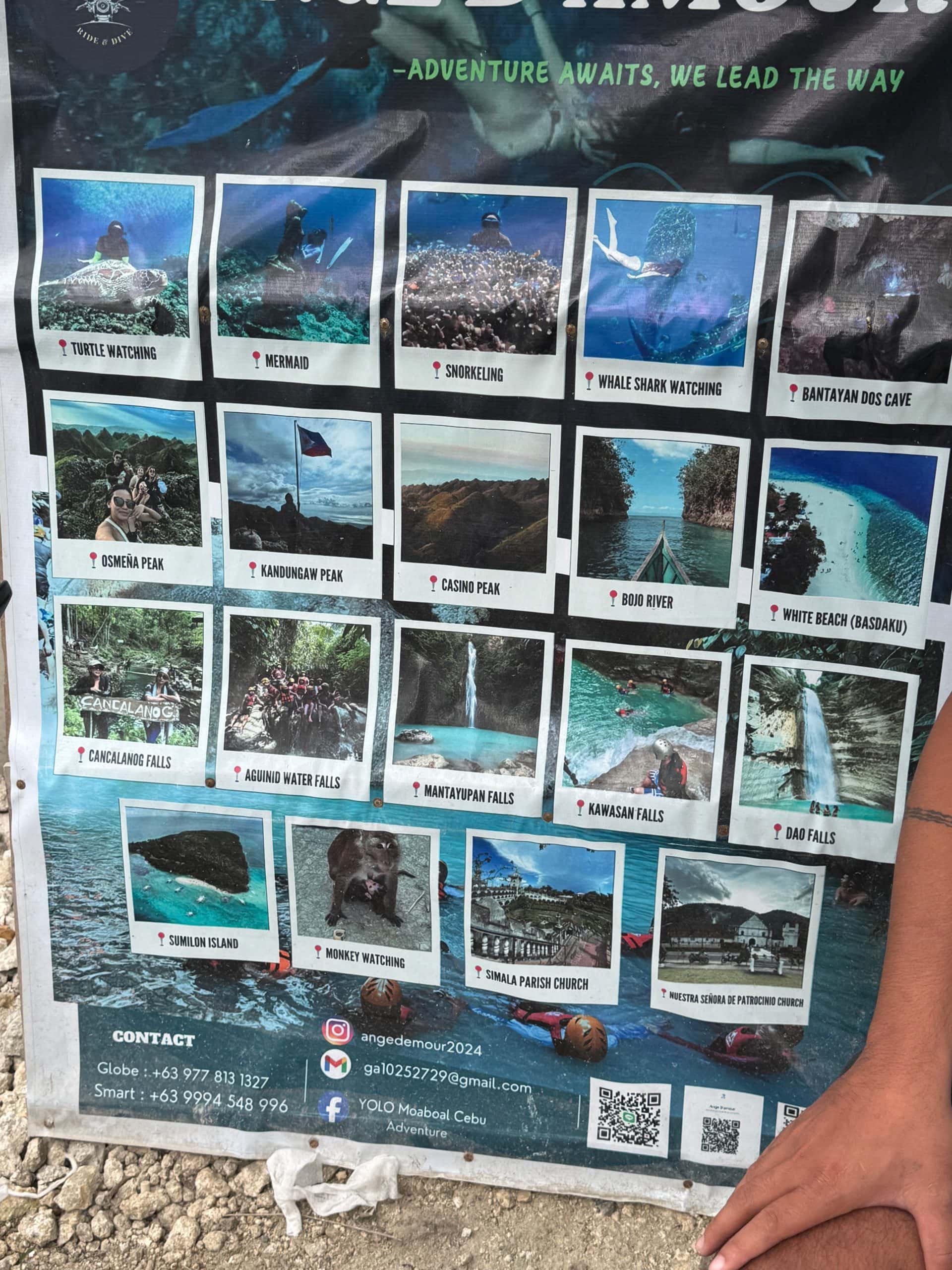 Tour board in Moalboal, Cebu, Philippines, showcasing popular activities and day trips including the sardine run, Kawasan Falls canyoneering, Osmeña Peak, diving, White Beach, and whale shark watching.