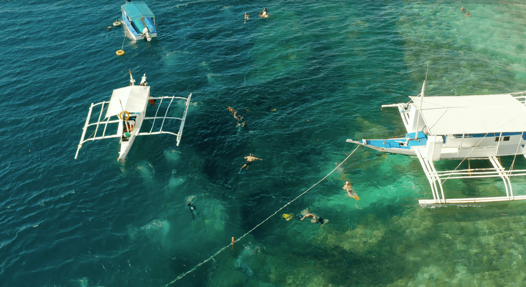 Aerial view of snorkellers and traditional banca boats above the famous Moalboal sardine run in Cebu, Philippines, where travellers can swim with massive schools of sardines just offshore near Panagsama Beach.