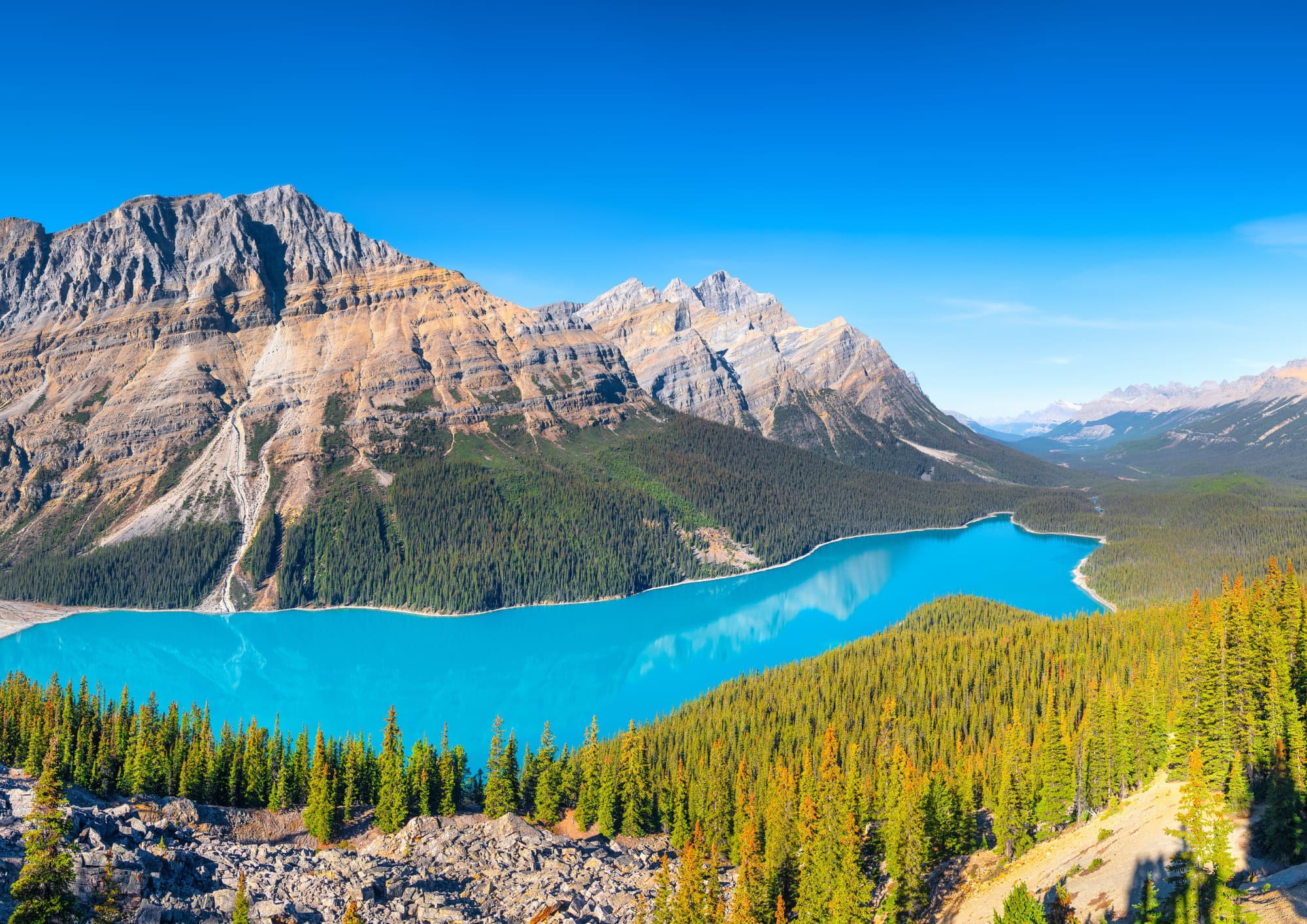 Mountain landscape overlooking Peyto Lake in Banff National Park, Canada