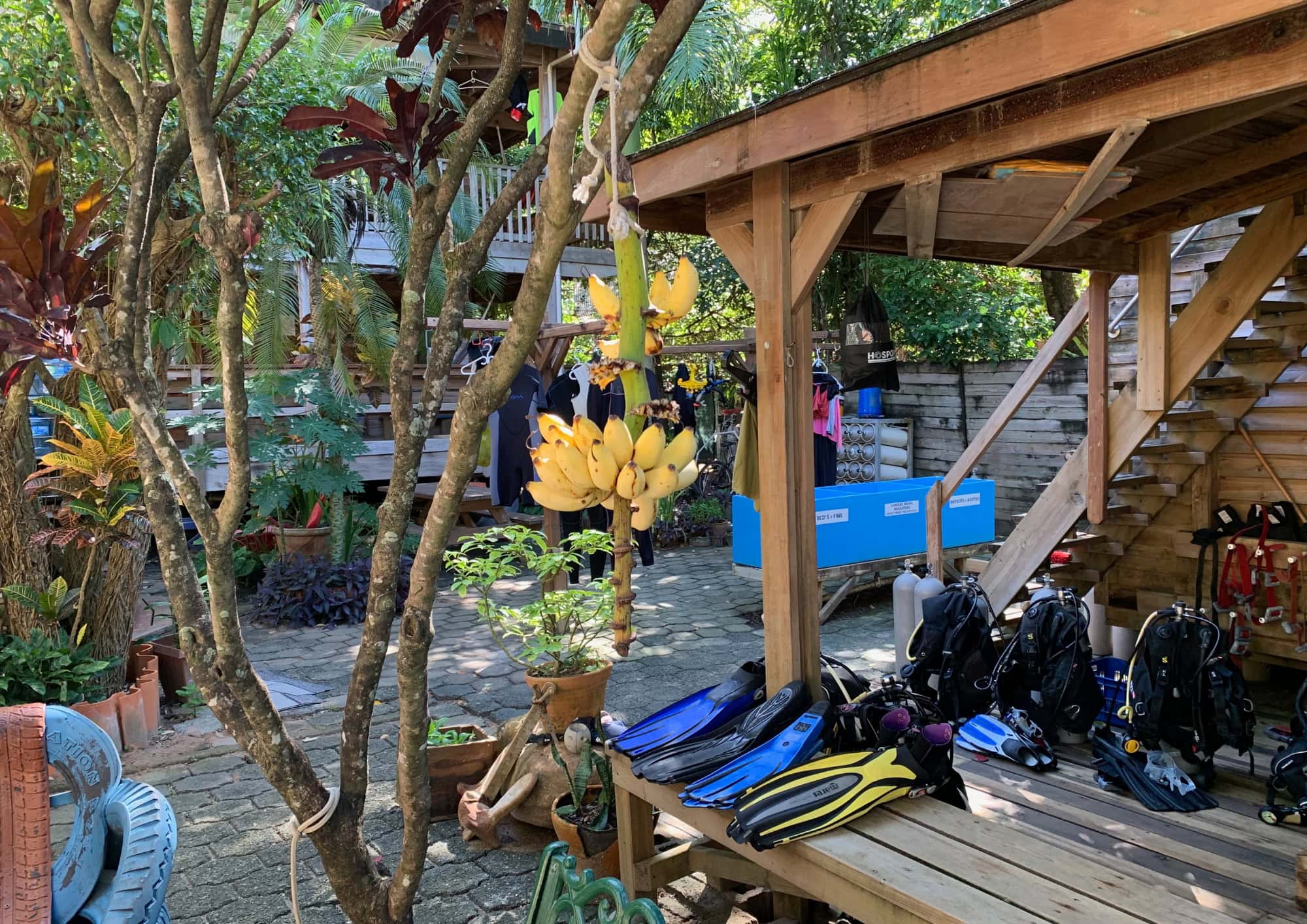 Tropical scuba diving resort with dive gear and equipment ready for guests before a day of diving.