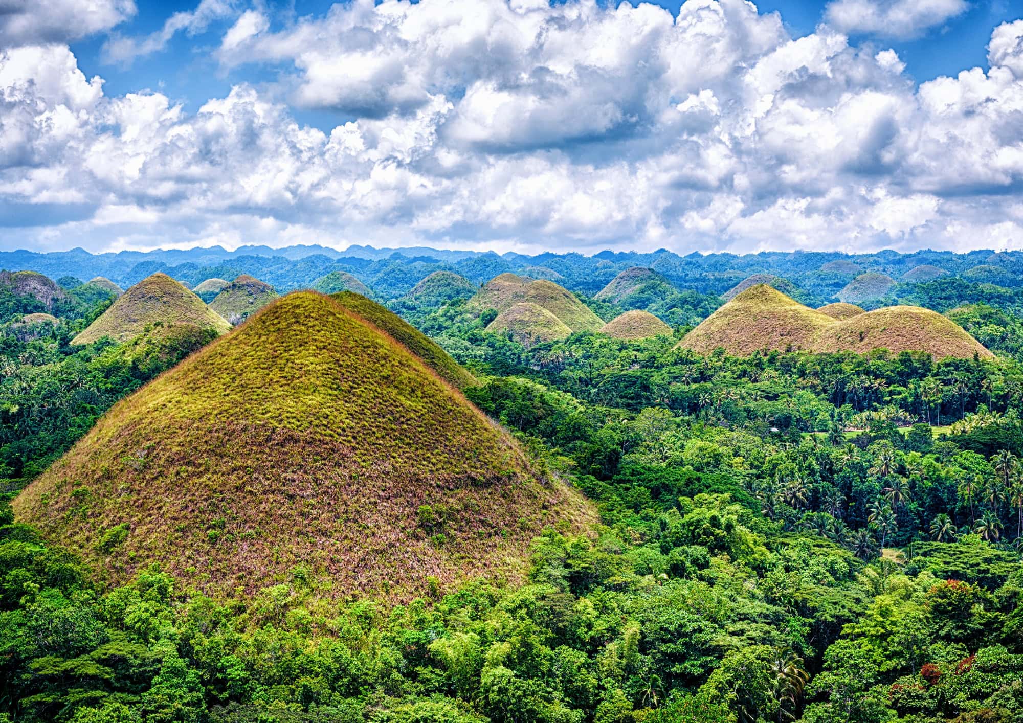 The Chocolate Hills rising across the countryside of Bohol under a bright blue sky.