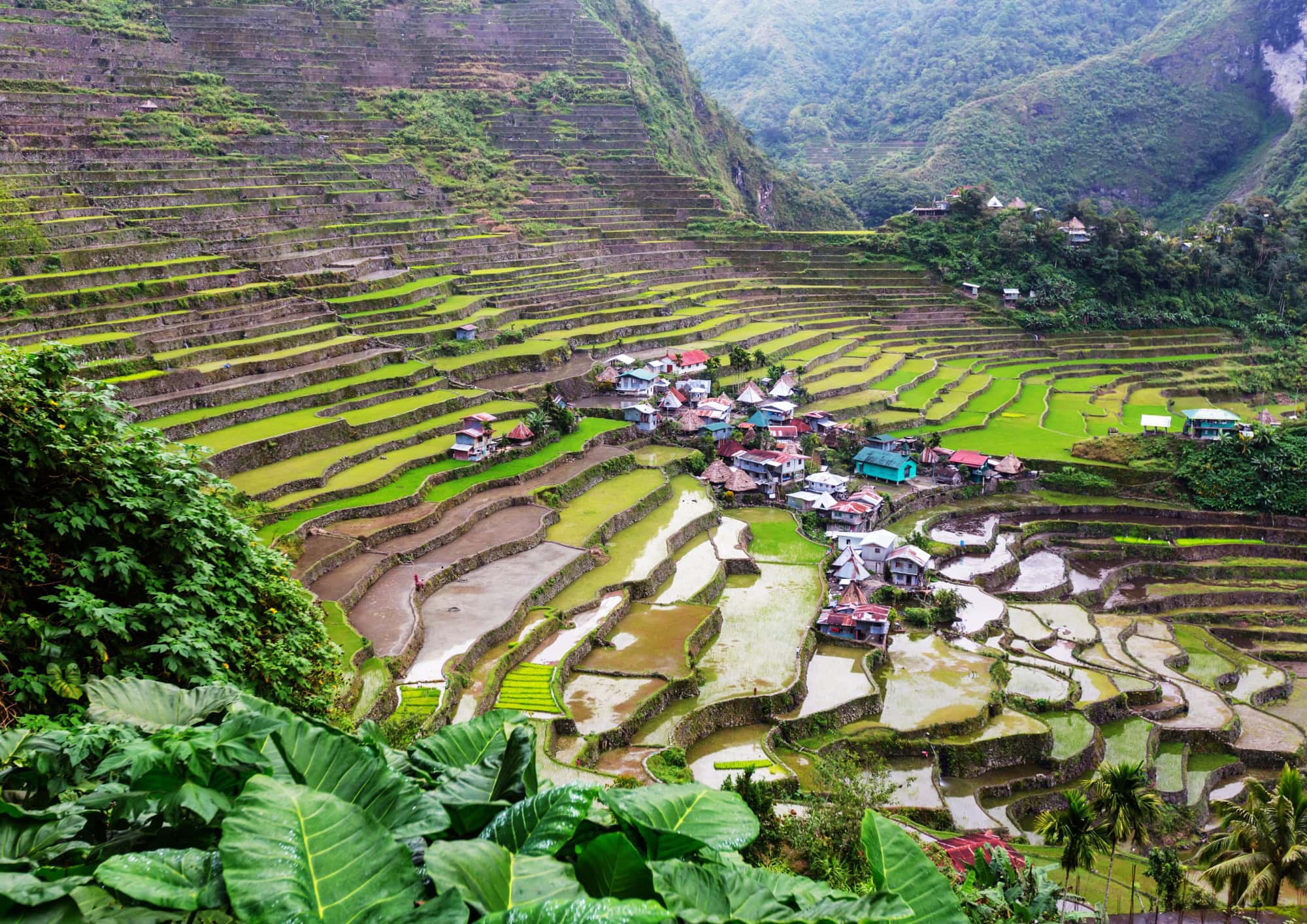 The Banaue Rice Terraces stretching across the mountains of northern Luzon.