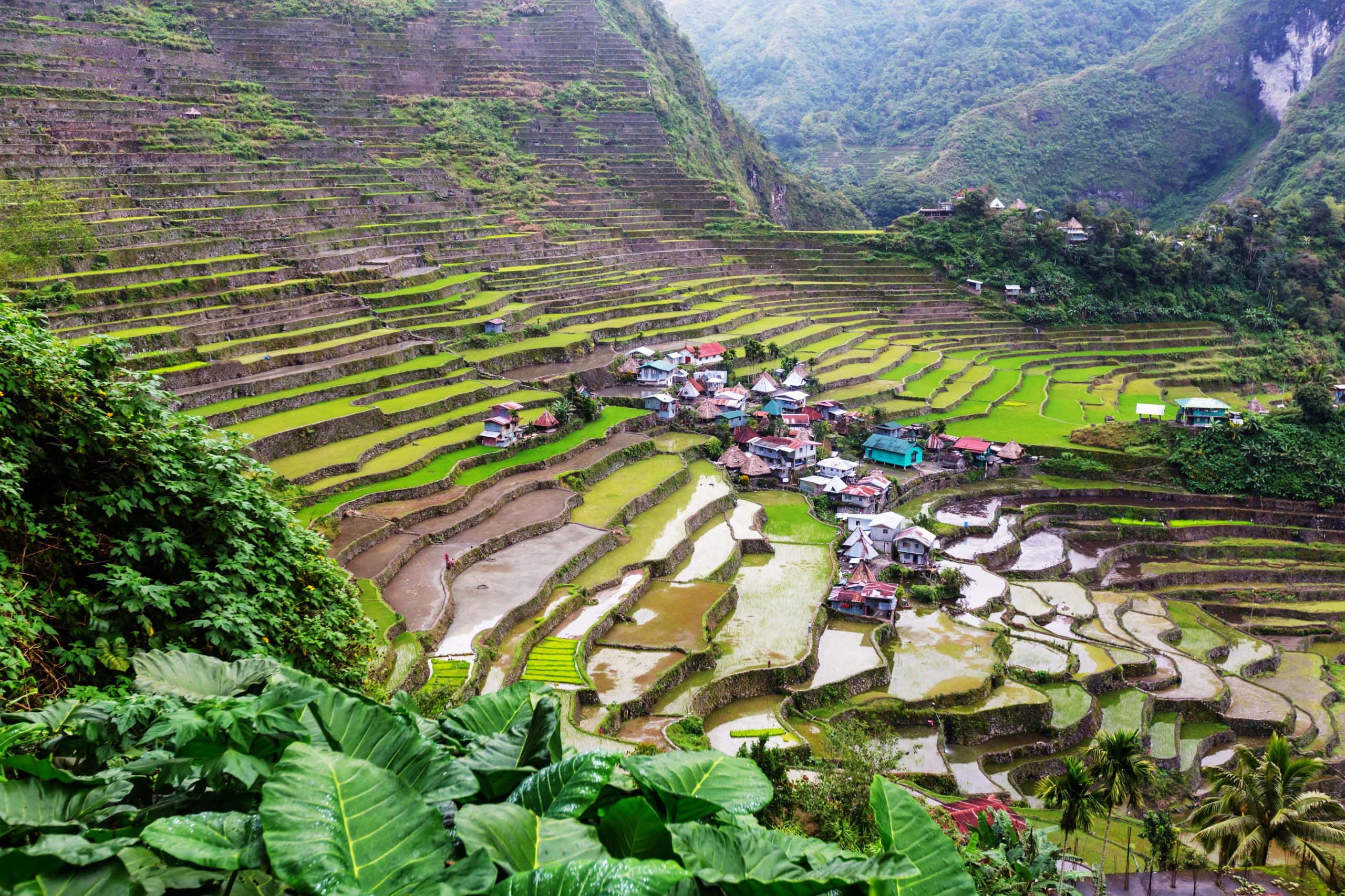 Banaue Rice Terraces in northern Luzon, Philippines, with lush green rice fields carved into steep mountains surrounding a small village.